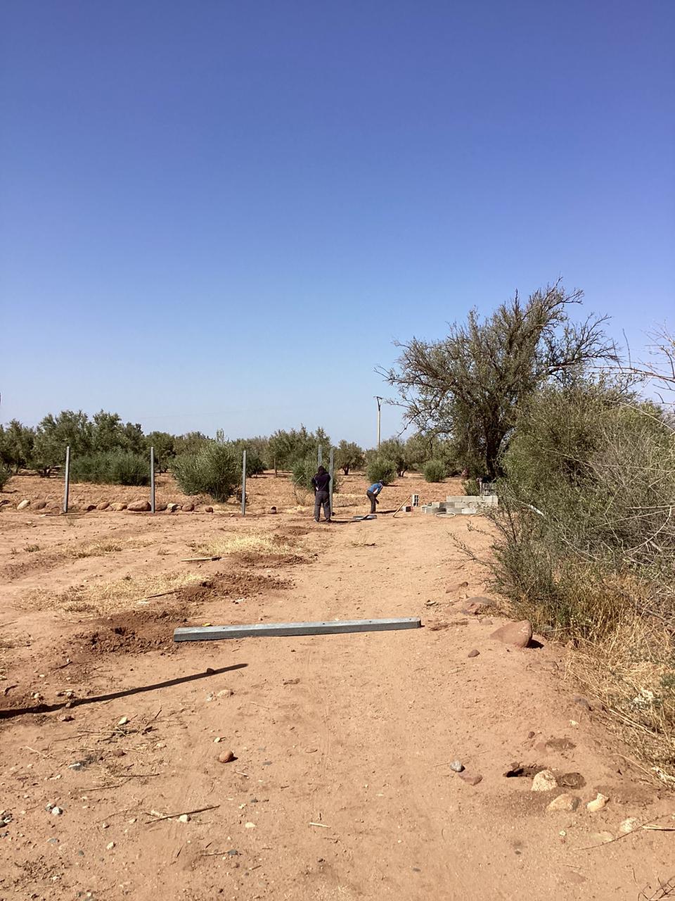 terrain 1