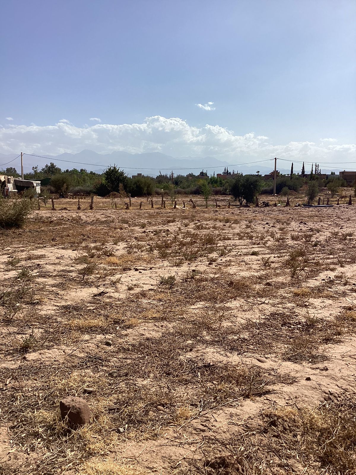 terrain 2