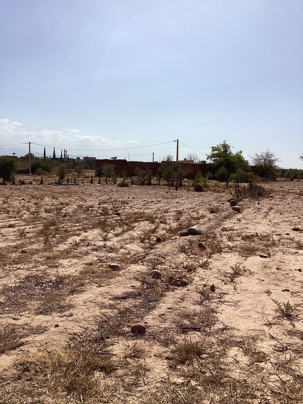 terrain 2