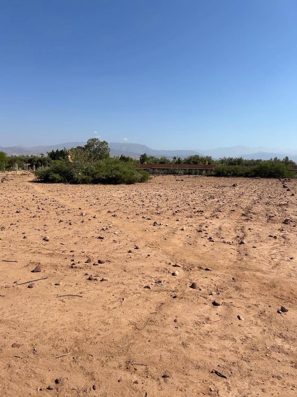 terrain 5