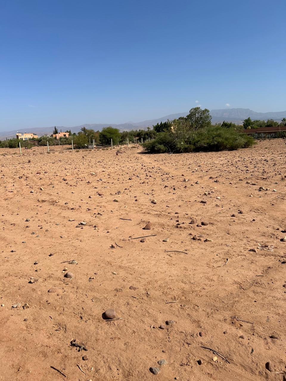 terrain 5