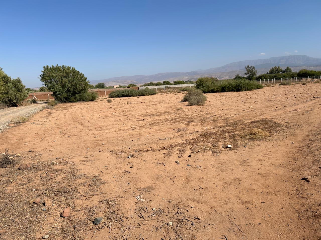 terrain 8