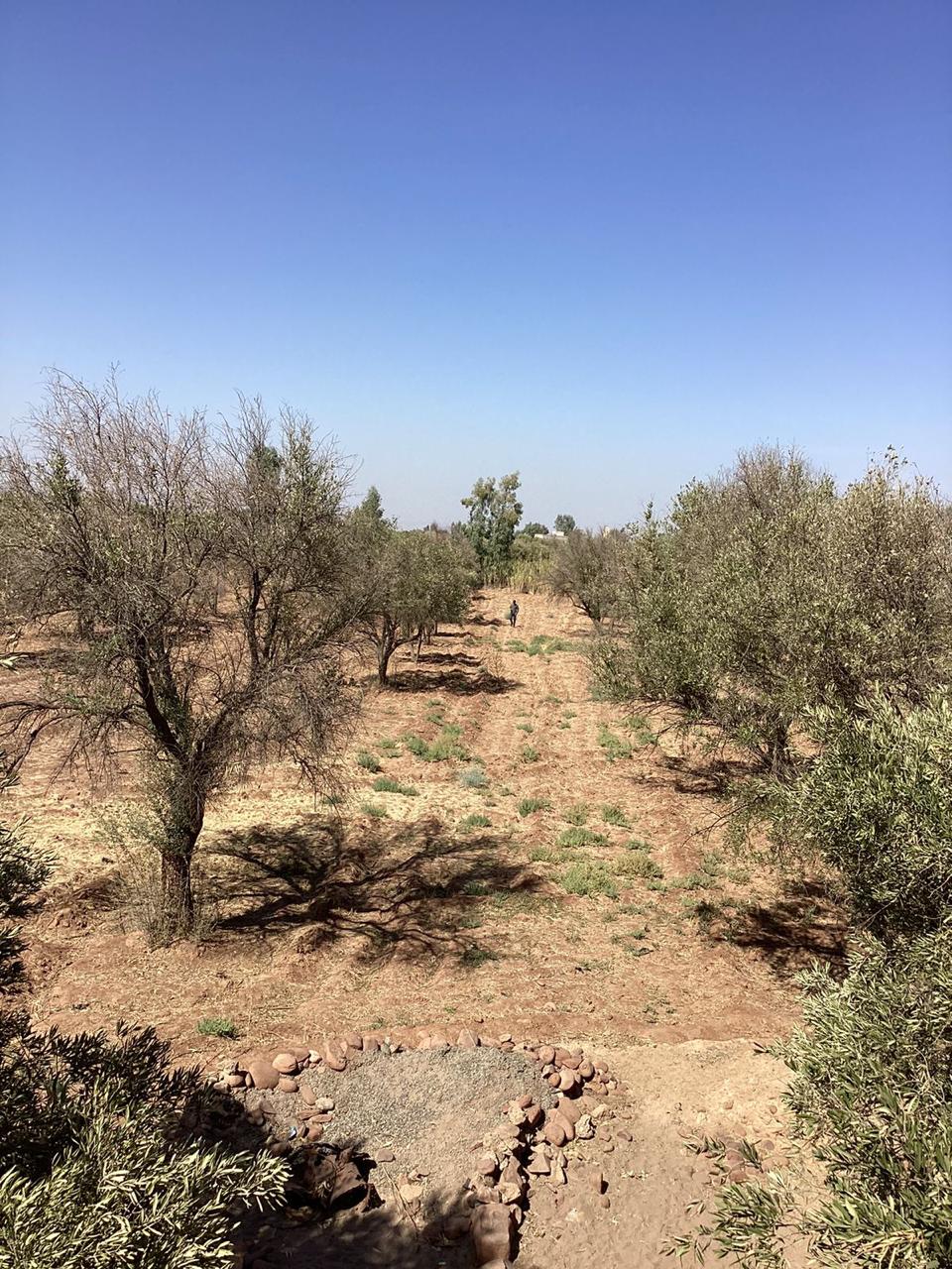 terrain 9