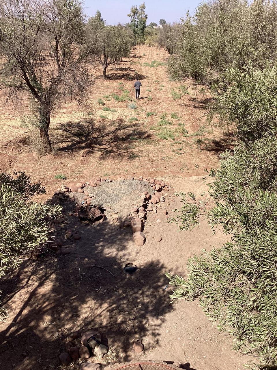 terrain 9