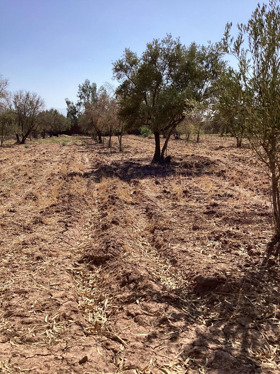 terrain 10