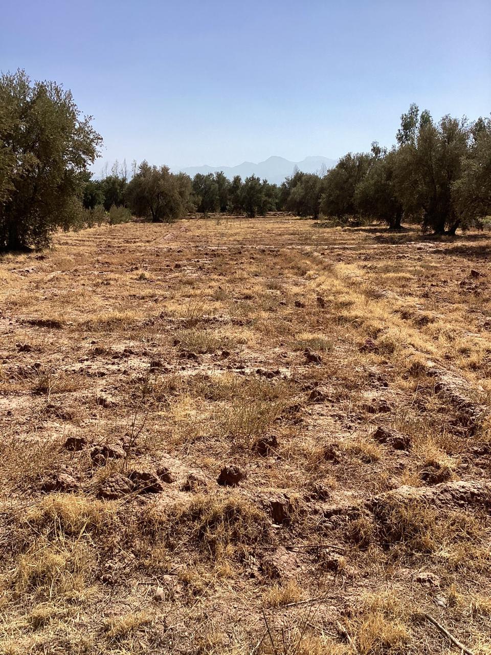 terrain 10