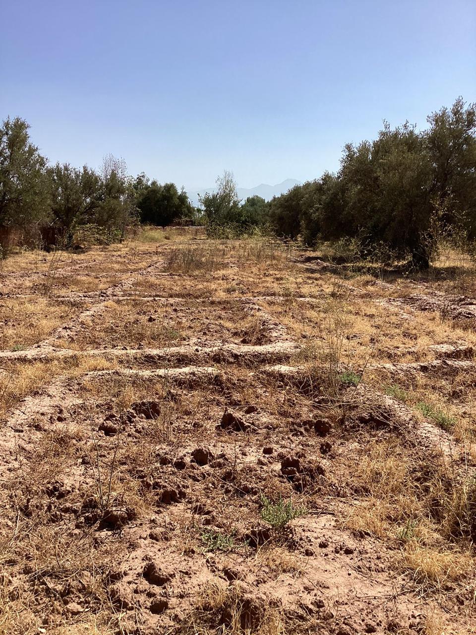 terrain 10