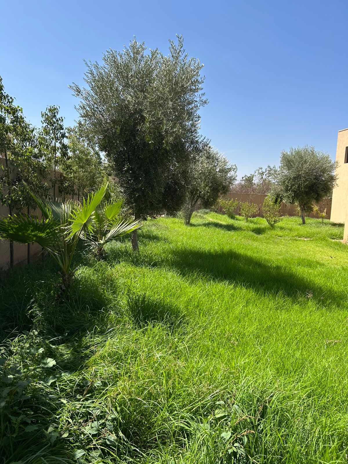 villa 1