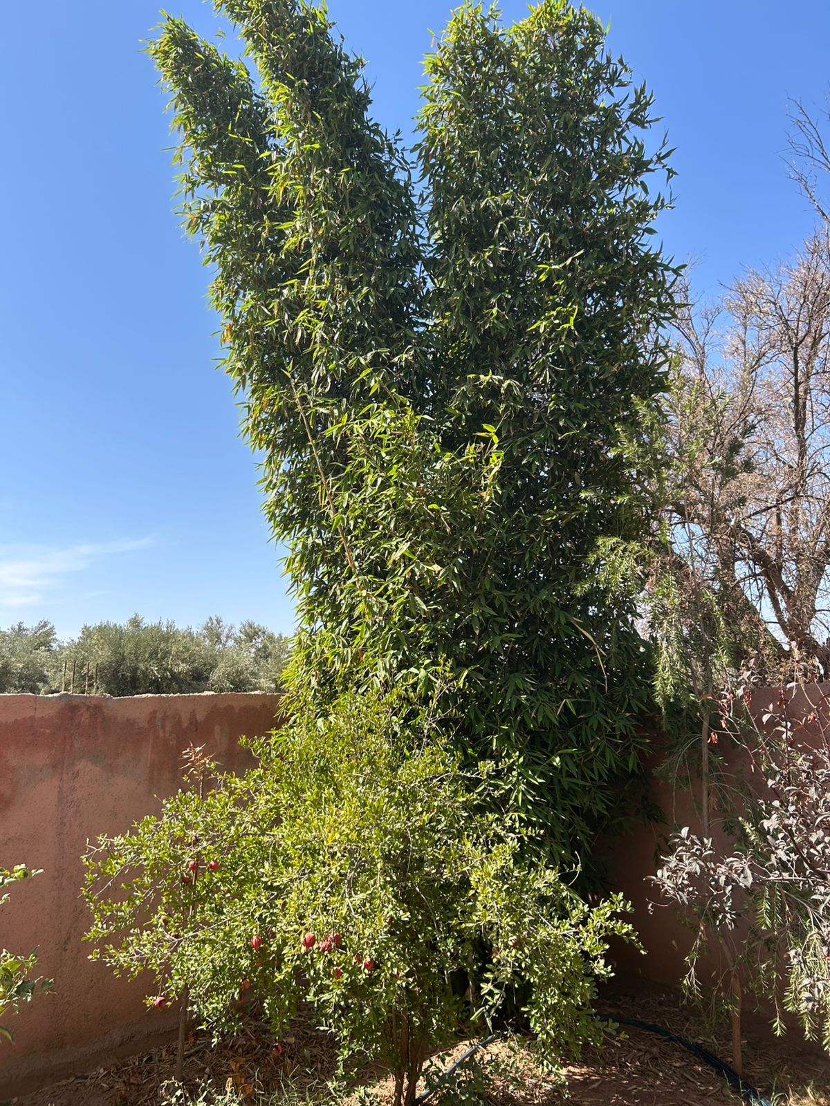 villa 2