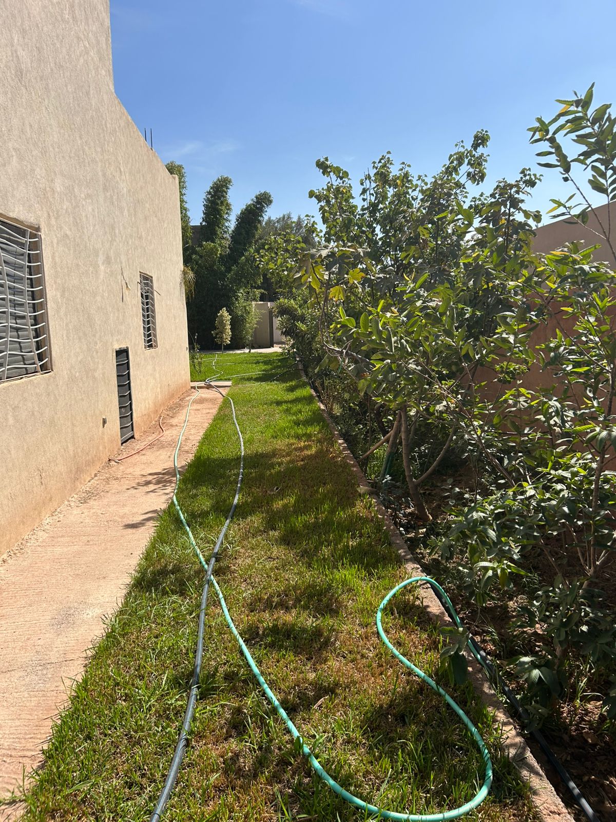 villa 2