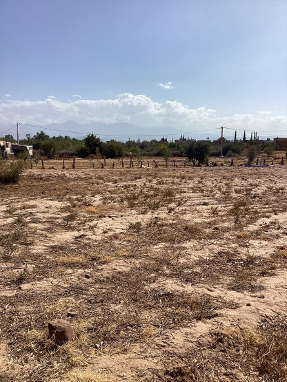 terrain 2