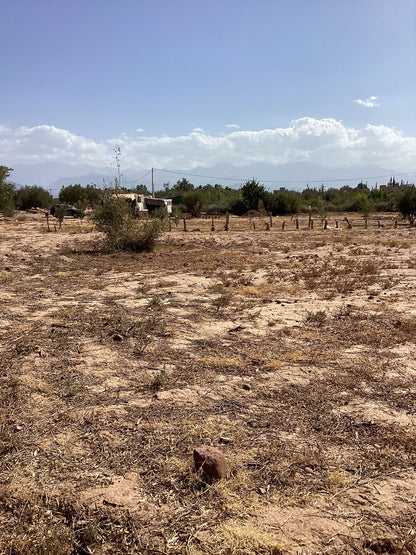 terrain 2