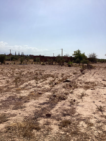 terrain 2