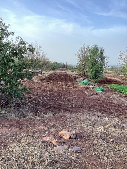 terrain 11