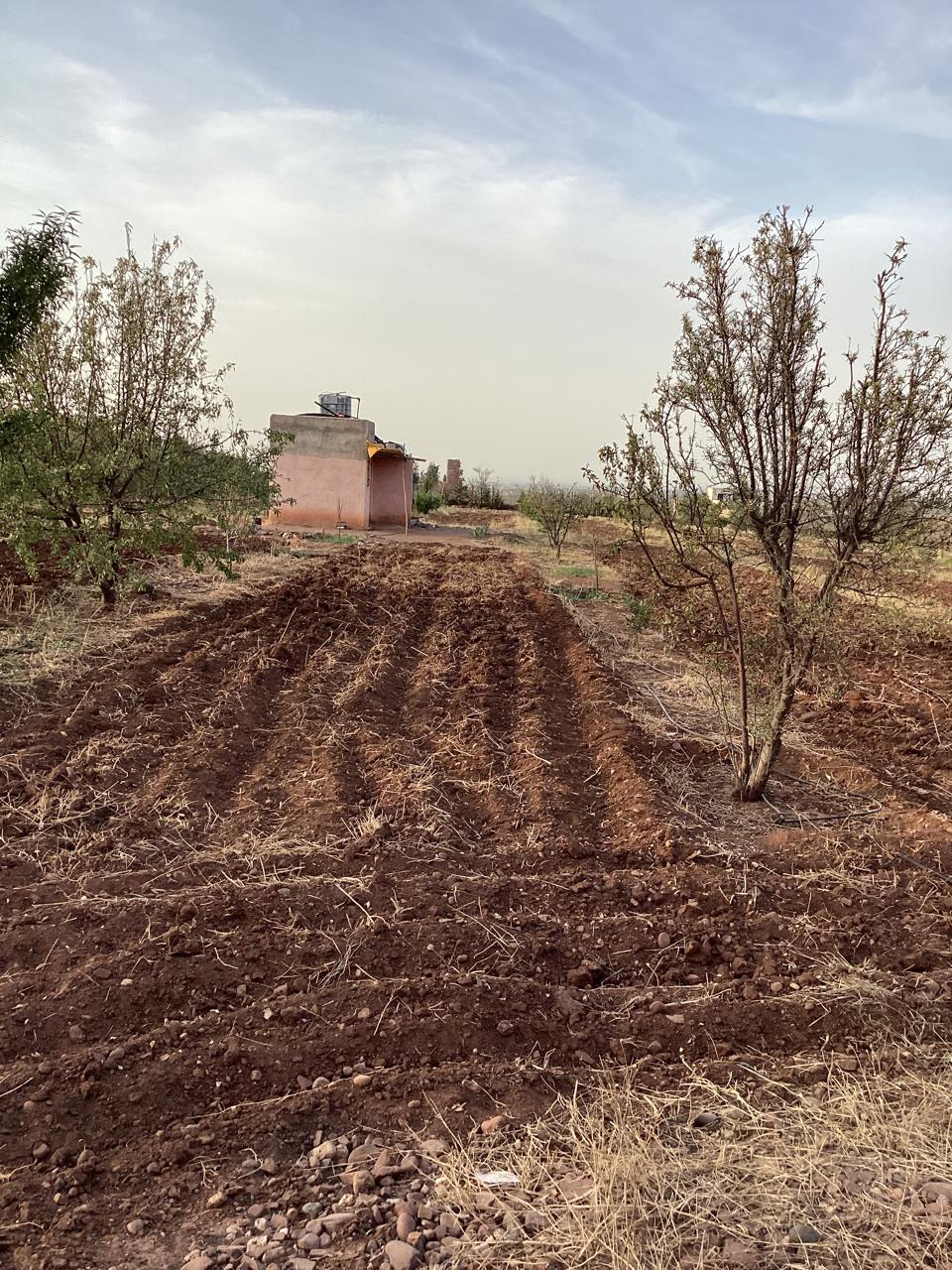 terrain 11