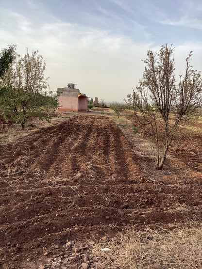 terrain 11