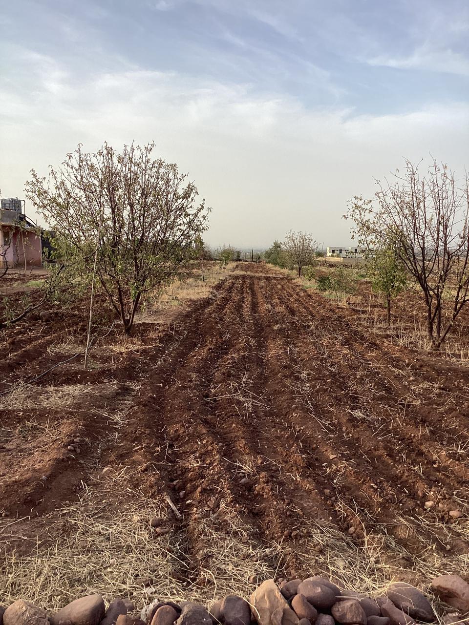 terrain 11