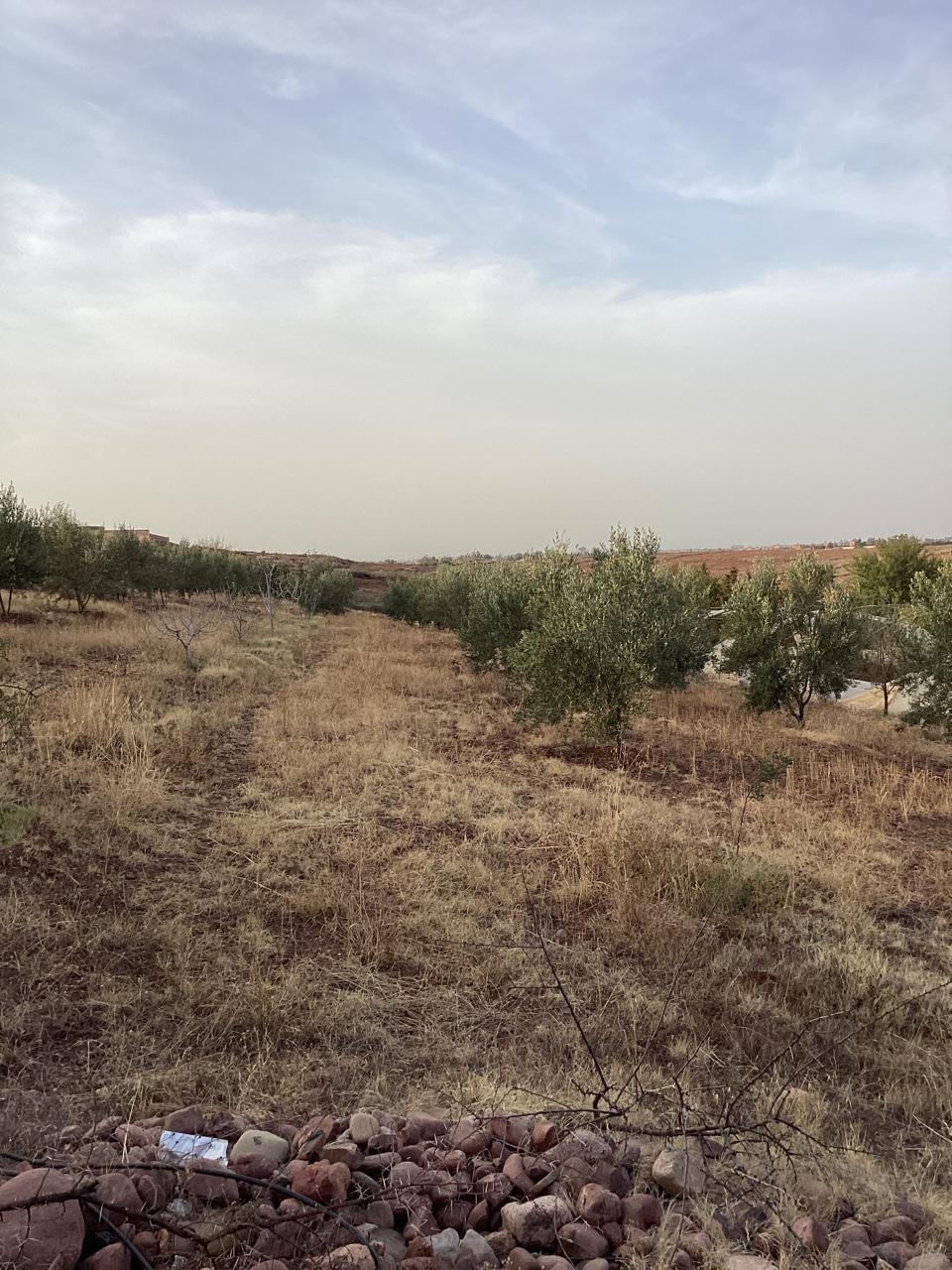 terrain 11