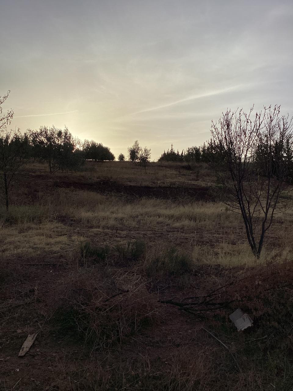 terrain 11