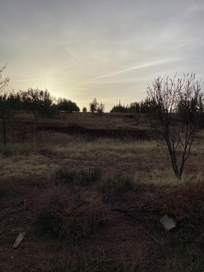 terrain 11