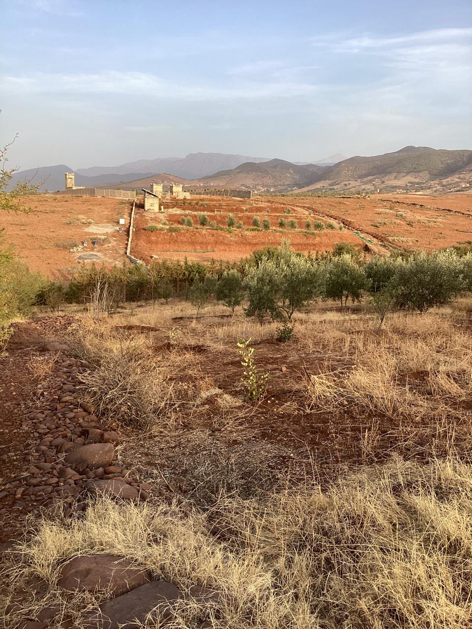 terrain 11