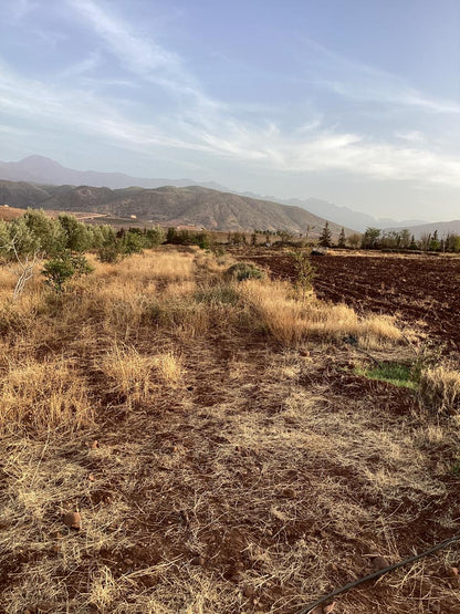 terrain 11