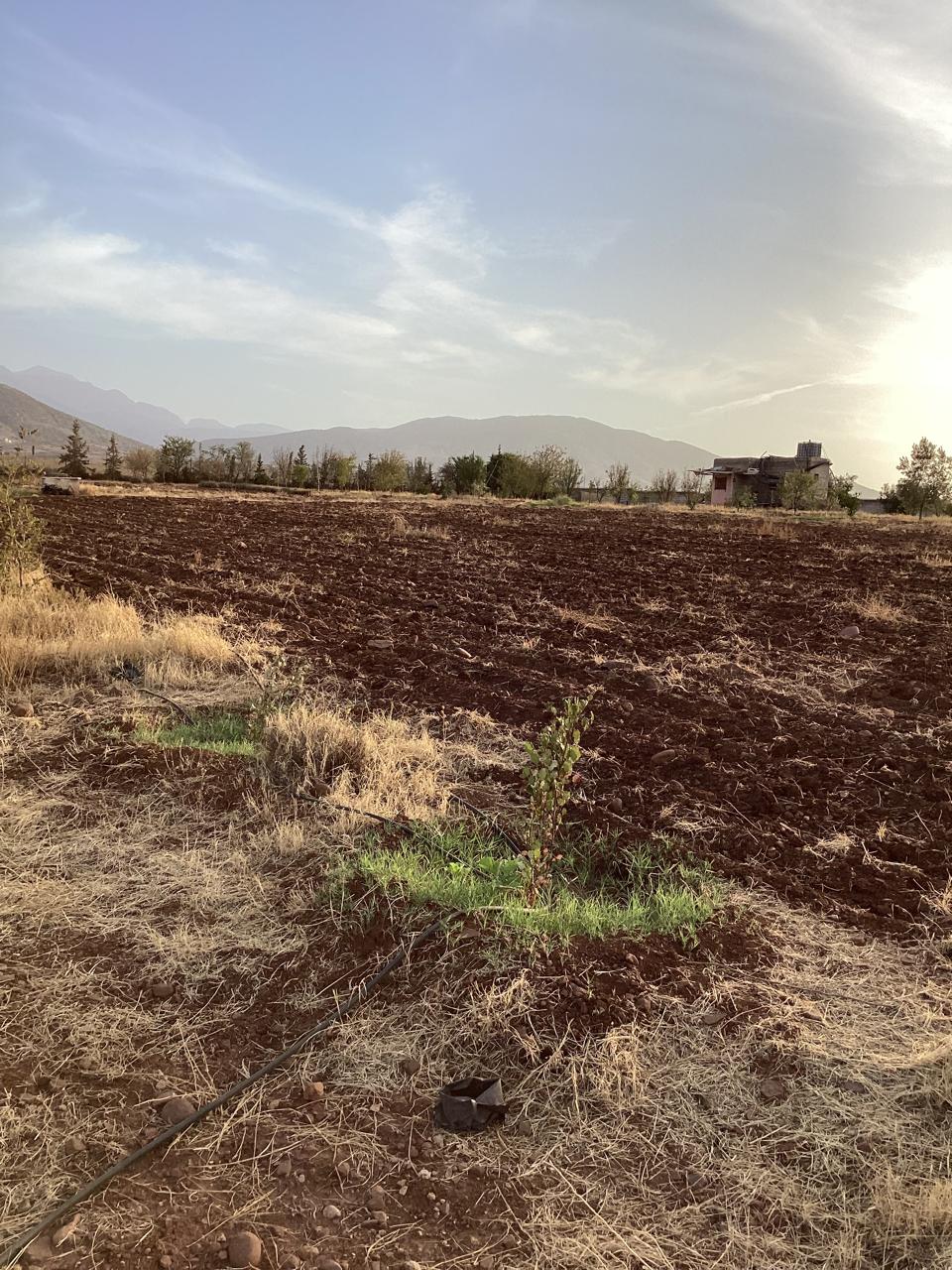 terrain 11