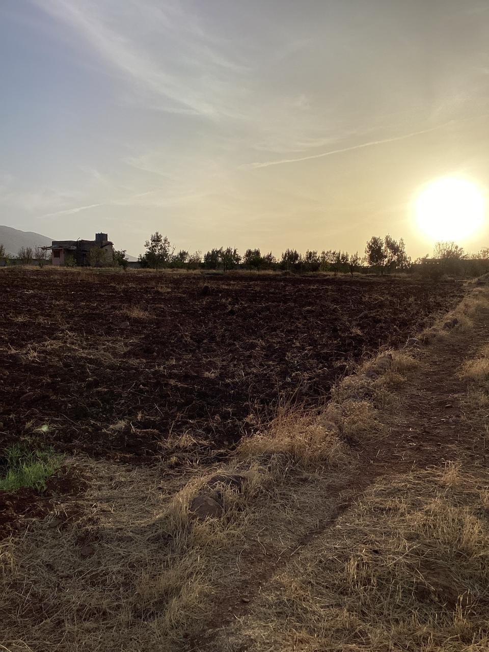 terrain 11