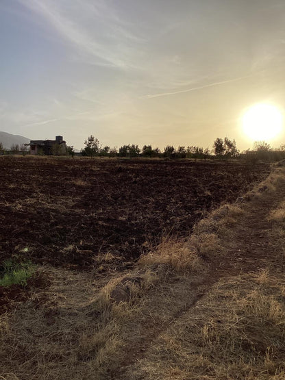 terrain 11