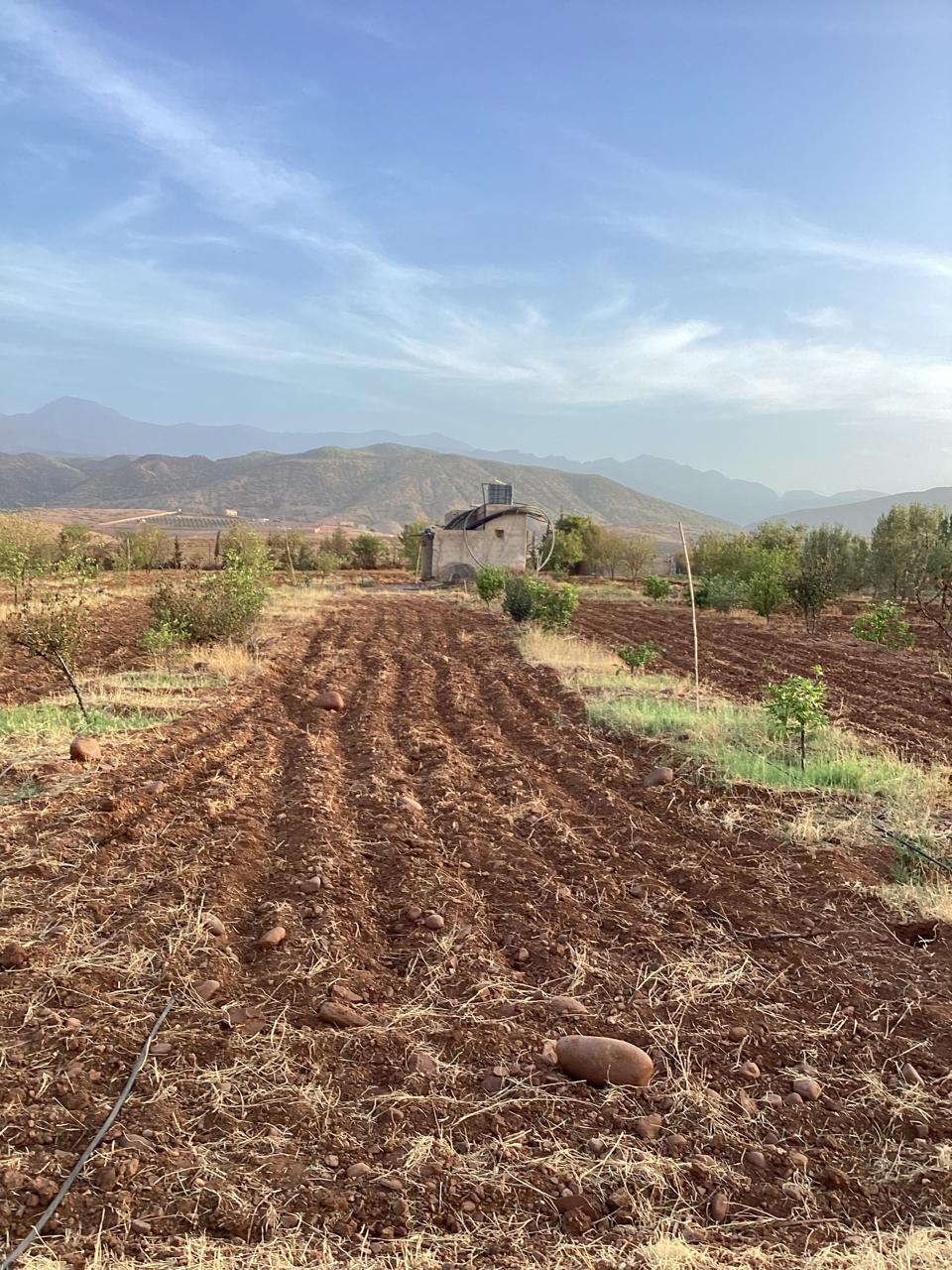 terrain 11