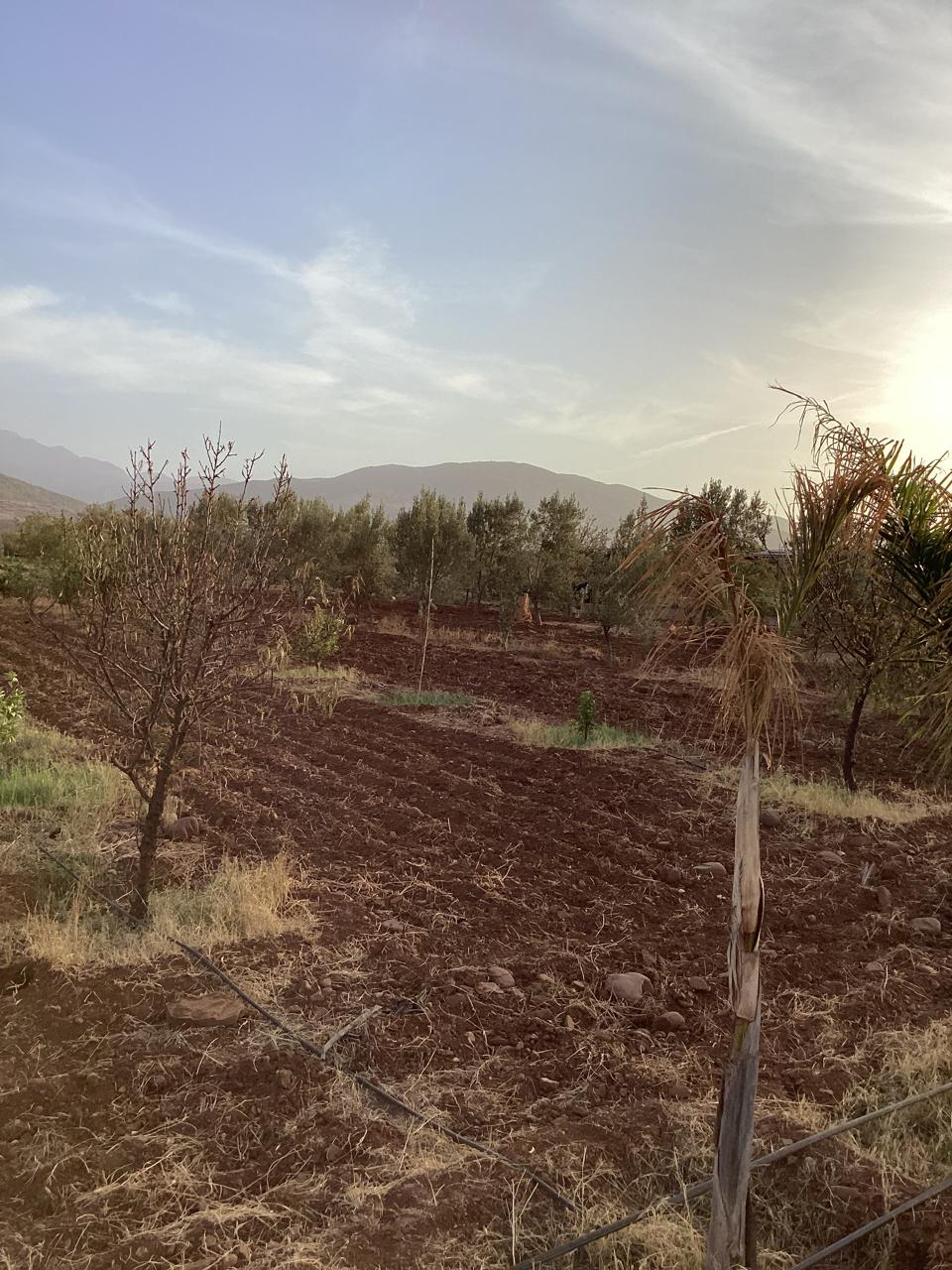 terrain 11