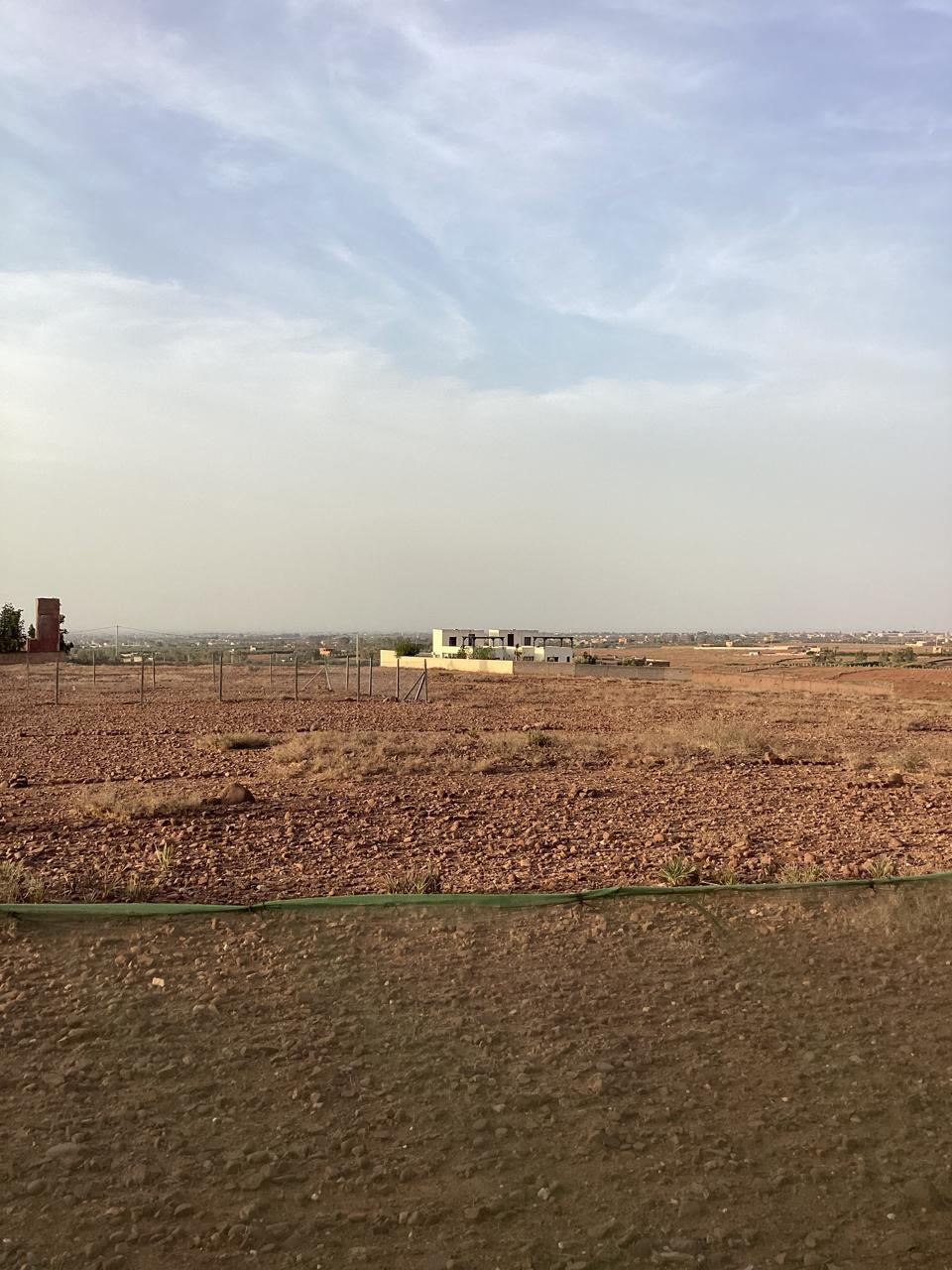 terrain 11