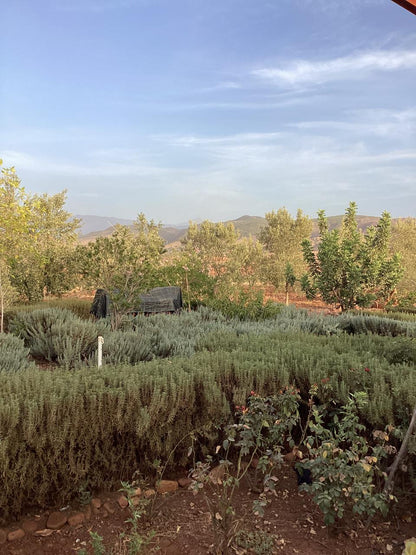 terrain 11
