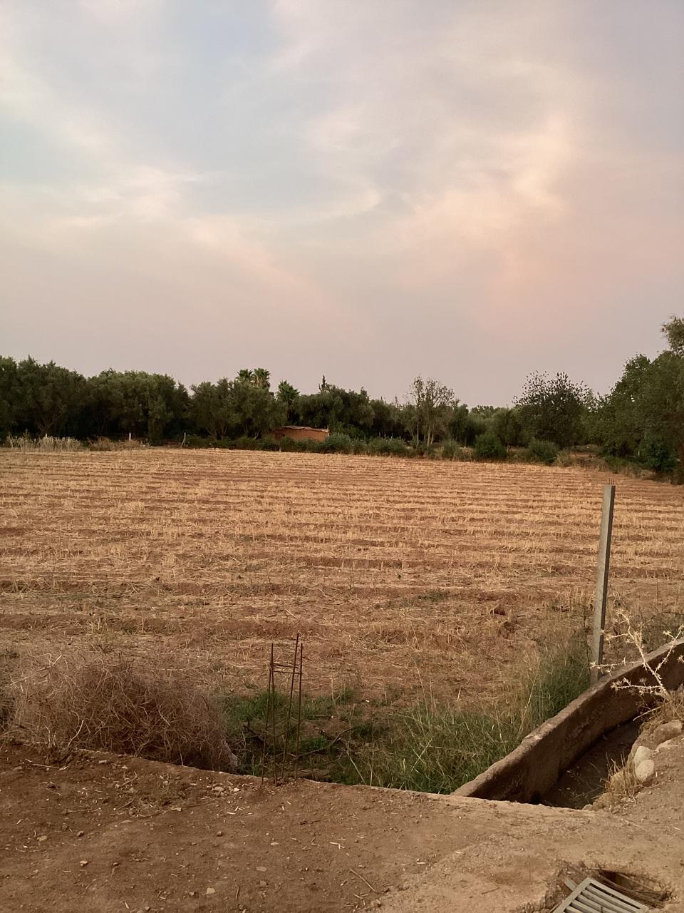terrain 12