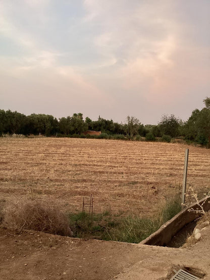 terrain 12