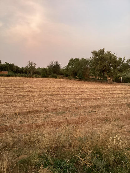 terrain 12