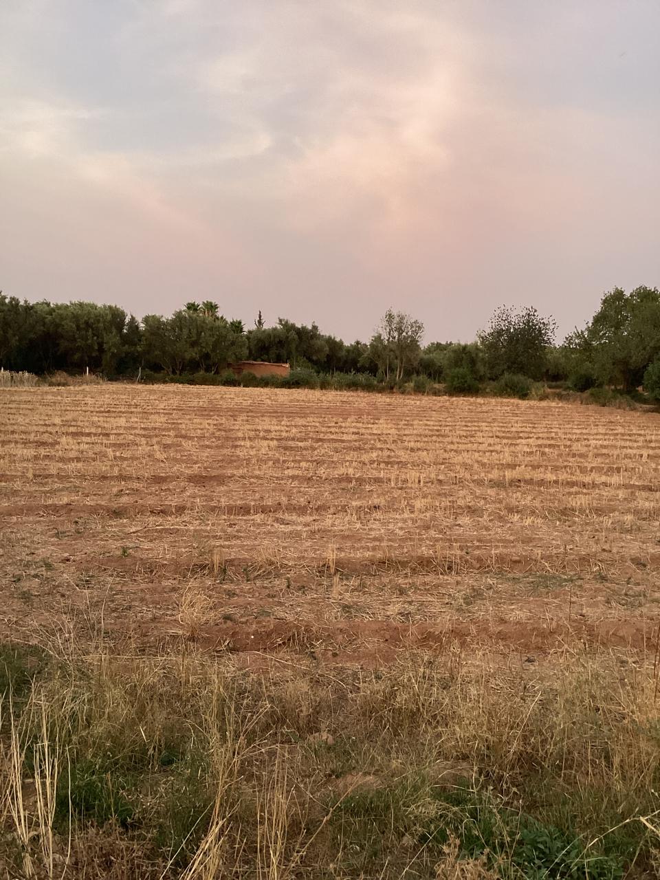 terrain 12