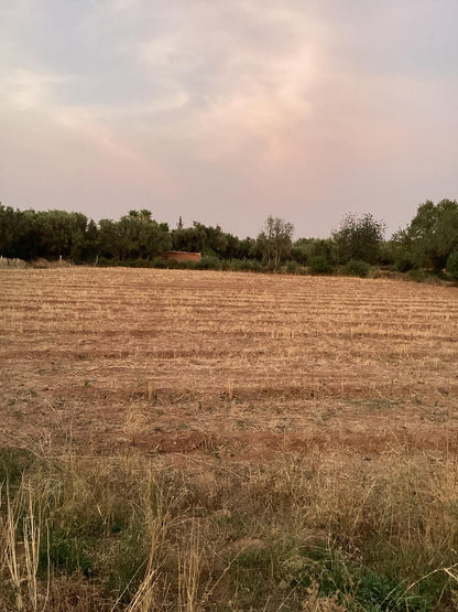 terrain 12