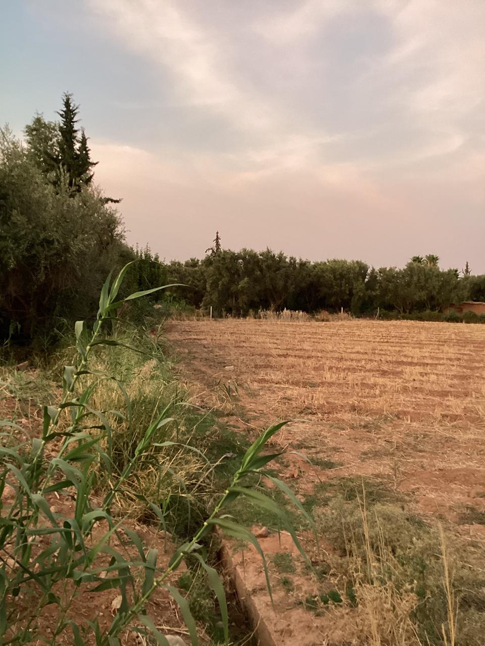 terrain 12