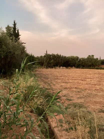 terrain 12