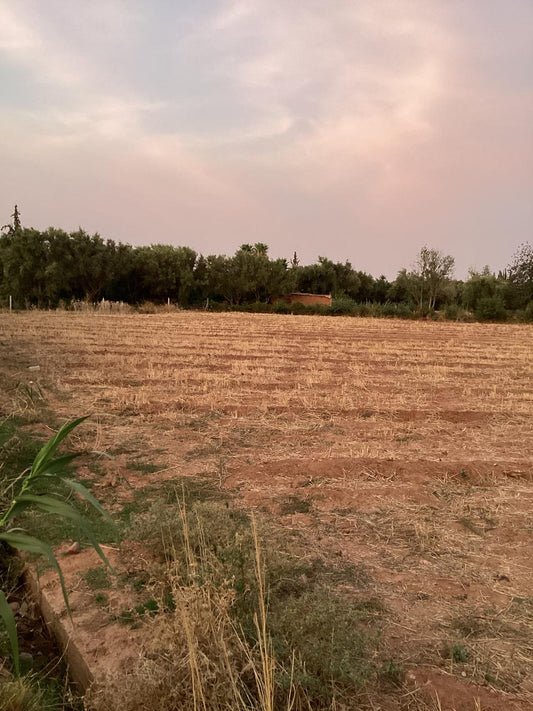 terrain 12