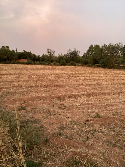 terrain 12