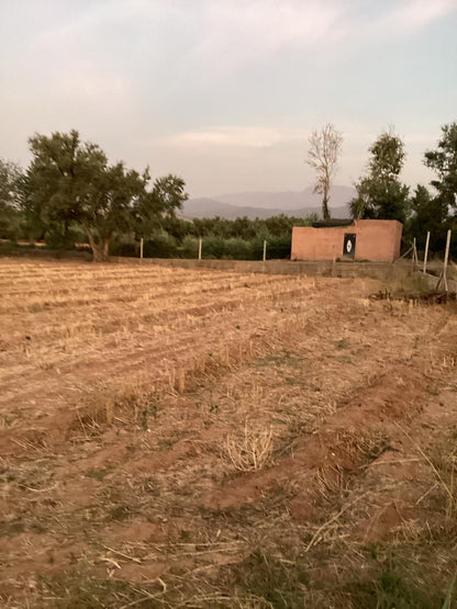terrain 12