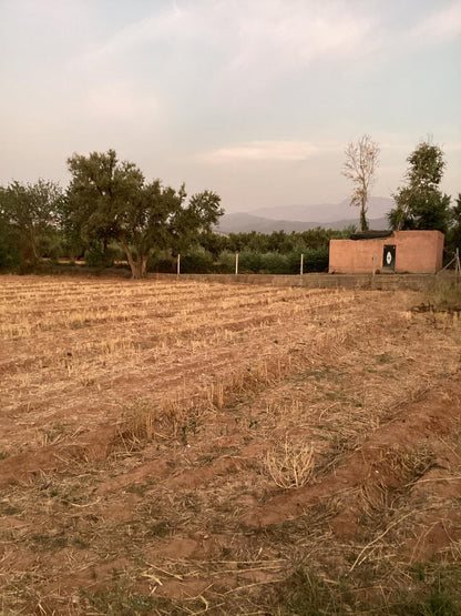 terrain 12